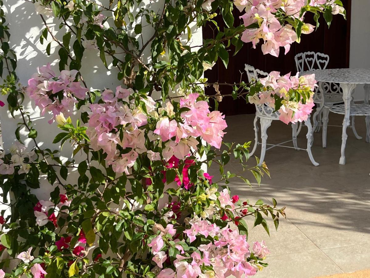 Villas Tikuch 외부 사진